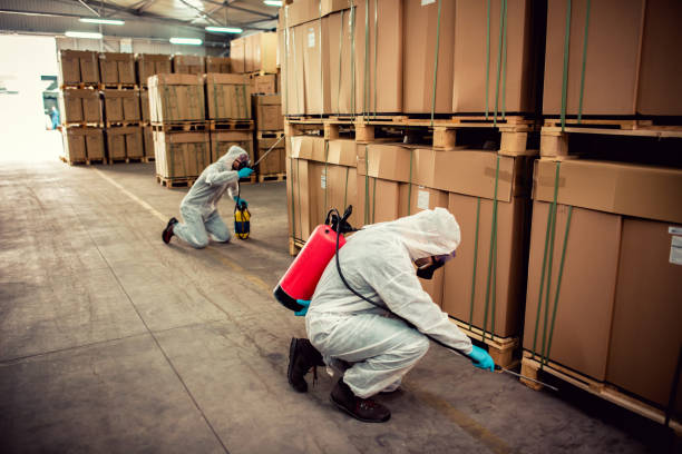 Best Best Pest Control Companies  in Lyncourt, NY
