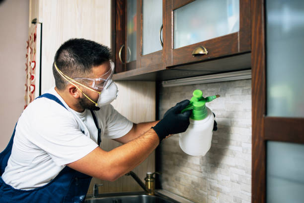 Best Emergency Pest Control  in Lyncourt, NY