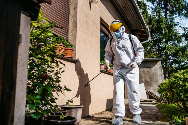 Best Emergency Pest Control  in Lyncourt, NY