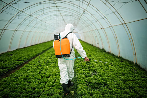 Best Local Pest Control Services  in Lyncourt, NY