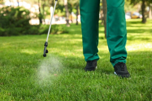 Pest Control for Restaurants in Lyncourt, NY