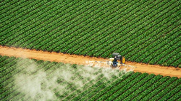 Best Commercial Pest Control Services  in Lyncourt, NY
